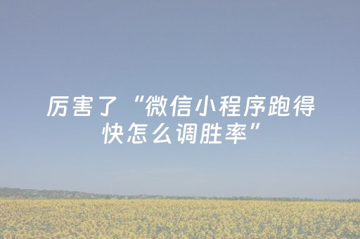 厉害了“微信小程序跑得快怎么调胜率”（开挂辅助插件)