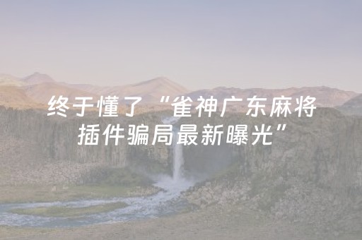 终于懂了“雀神广东麻将插件骗局最新曝光”（输赢跟id号有关系吗)