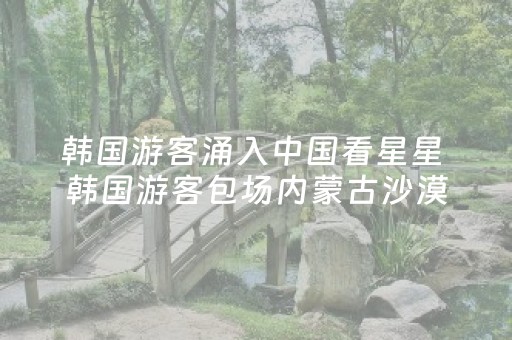 韩国游客涌入中国看星星 韩国游客包场内蒙古沙漠太空舱