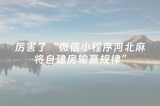 厉害了“微信小程序河北麻将自建房输赢规律”（怎么能调好牌)
