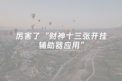 厉害了“财神十三张开挂辅助器应用”（装挂怎么安装)