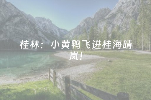 终于懂了“微信小程序海南麻将助赢神器”（开挂神器下载)