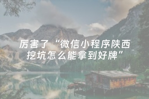 厉害了“微信小程序陕西挖坑怎么能拿到好牌”（开挂辅助器脚本)