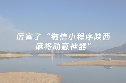 厉害了“微信小程序陕西麻将助赢神器”（辅牌器插件购买)