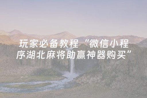 玩家必备教程“微信小程序湖北麻将助赢神器购买”（外辅工具)
