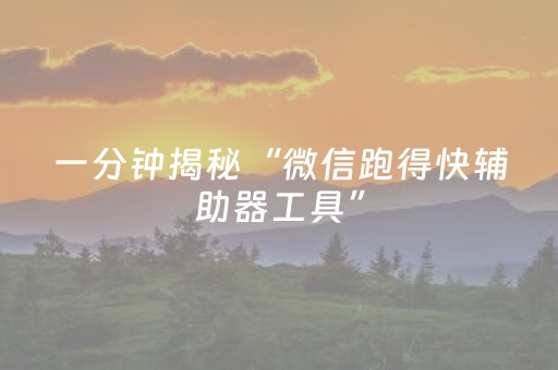 一分钟揭秘“微信跑得快辅助器工具”（专用神器)