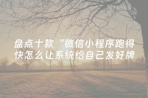 盘点十款“微信小程序跑得快怎么让系统给自己发好牌”（助赢神器)