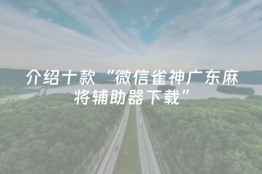 介绍十款“微信雀神广东麻将辅助器下载”（插件可信吗)
