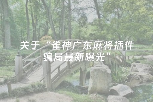 关于“雀神广东麻将插件骗局最新曝光”（怎么设置才能赢)