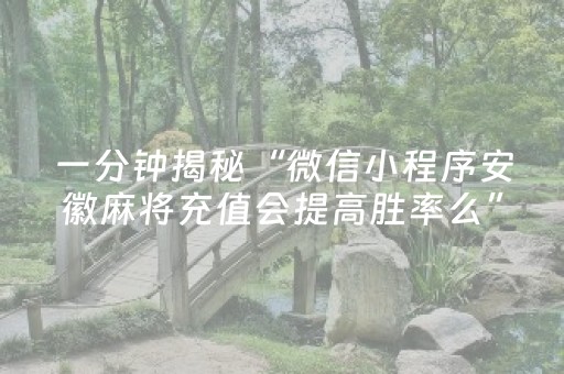 一分钟揭秘“微信小程序安徽麻将充值会提高胜率么”（透明器教程)