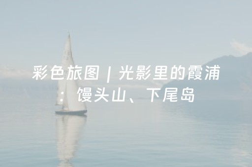 给玩家盘点十款“微信小程序湖北麻将胡牌神器”（助赢神器)