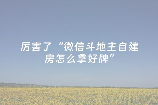 厉害了“微信斗地主自建房怎么拿好牌”（确实有插件吗)
