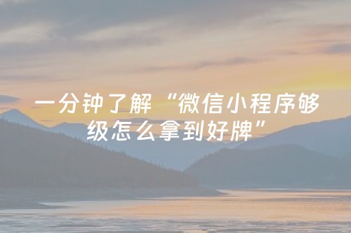 一分钟了解“微信小程序够级怎么拿到好牌”（辅助器通用版)