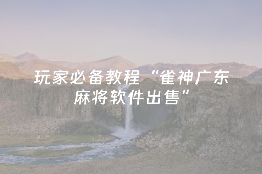 玩家必备教程“雀神广东麻将软件出售”（控牌神器)