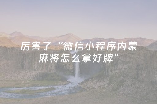 玩家必看“微信小程序挖坑辅助器通用版”（免费专用神器)