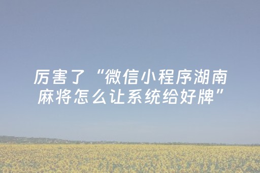 厉害了“微信小程序湖南麻将怎么让系统给好牌”（提高胜率软件)