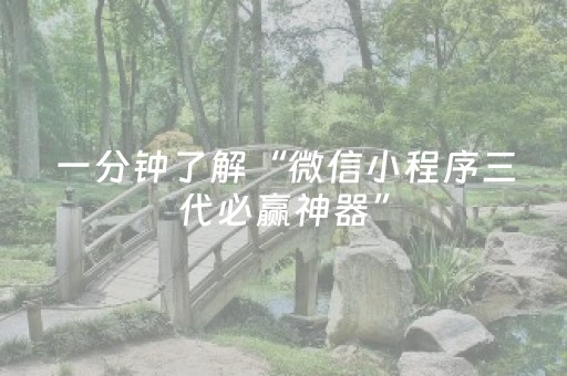 一分钟了解“微信小程序三代必赢神器”（辅助软件)