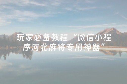 玩家必备教程“微信小程序河北麻将专用神器”（辅助器下载)