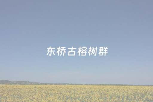 玩家必看科普“微信小程序天津麻将胡牌神器”（好友房怎么才能赢)