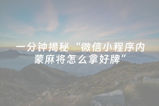 一分钟揭秘“微信小程序内蒙麻将怎么拿好牌”（辅助器下载)
