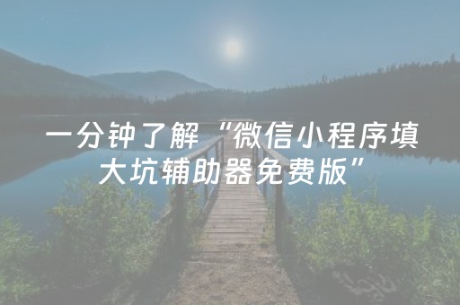 一分钟了解“微信小程序填大坑辅助器免费版”（攻略插件)