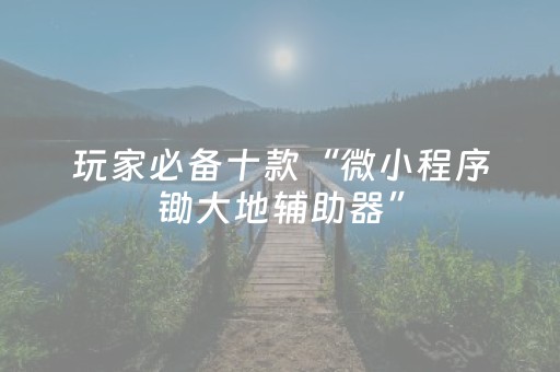 玩家必备十款“微小程序锄大地辅助器”（神器最新免费)