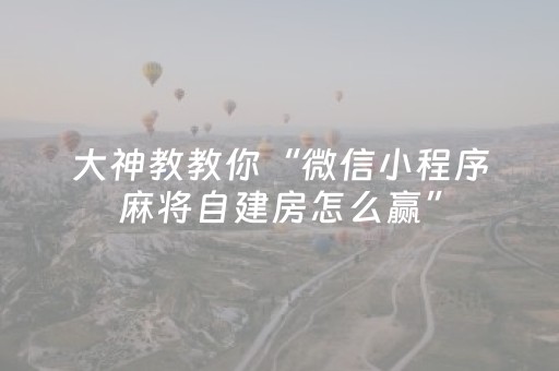 大神教教你“微信小程序麻将自建房怎么赢”（透明挂辅助器)