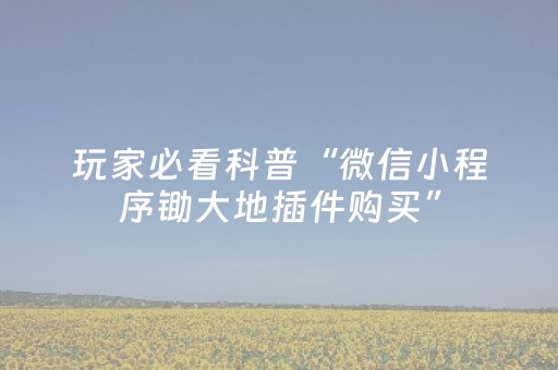 玩家必看科普“微信小程序锄大地插件购买”（为什么有人一直赢)