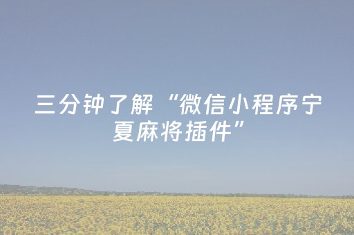 三分钟了解“微信小程序宁夏麻将插件”（专用神器)