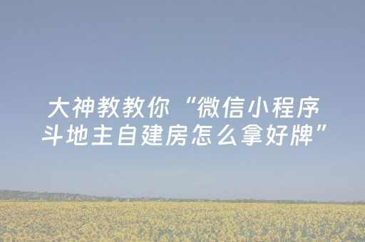 大神教教你“微信小程序斗地主自建房怎么拿好牌”（辅助挂发牌规律)