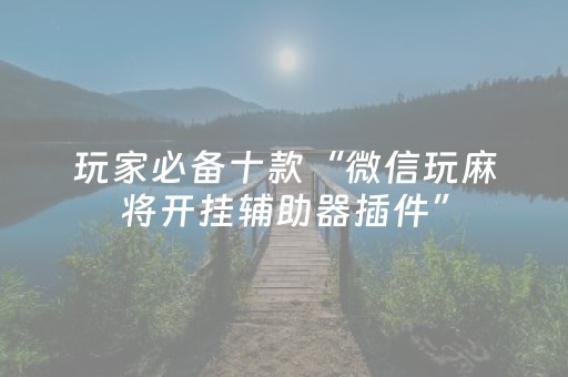 玩家必备十款“微信玩麻将开挂辅助器插件”（挂件神器)