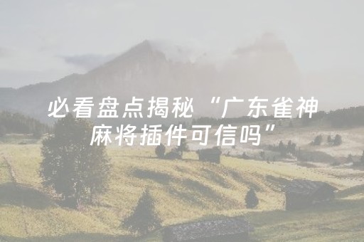 必看盘点揭秘“广东雀神麻将插件可信吗”（辅牌器插件购买)