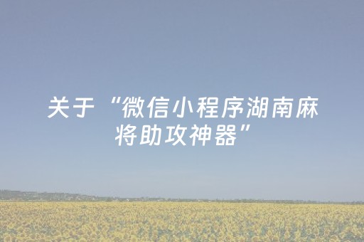 关于“微信小程序湖南麻将助攻神器”（辅助软件)