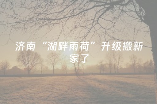 厉害了“财神十三张辅助器”（自建房怎么拿好牌)