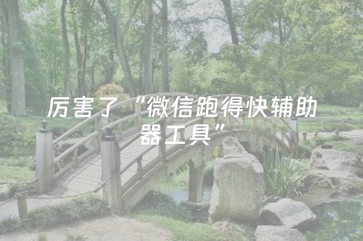 厉害了“微信跑得快辅助器工具”（必赢神器辅助器)