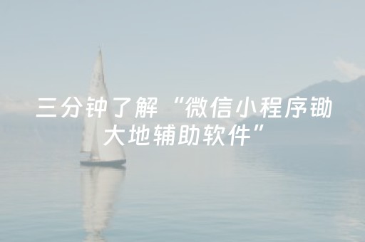 三分钟了解“微信小程序锄大地辅助软件”（软挂神器)
