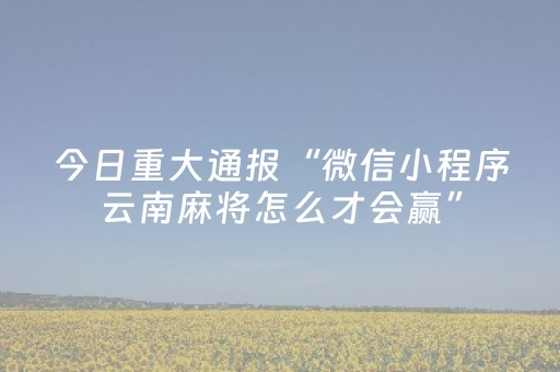 今日重大通报“微信小程序云南麻将怎么才会赢”（辅助软件)
