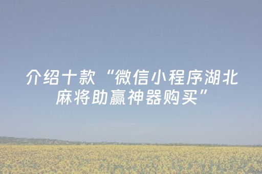 介绍十款“微信小程序湖北麻将助赢神器购买”（辅牌器插件购买)