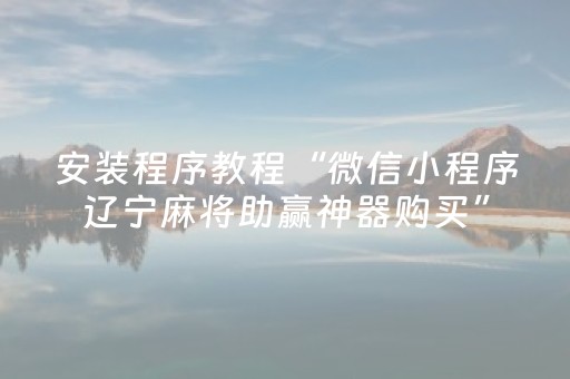 安装程序教程“微信小程序辽宁麻将助赢神器购买”（辅牌器插件购买)