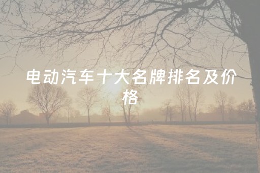 电动汽车十大名牌排名及价格（电动汽车十大名牌排名及价格女士）