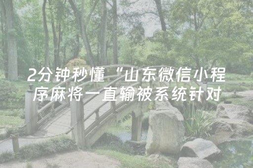 2分钟秒懂“山东微信小程序麻将一直输被系统针对了吗”（透明器教程)