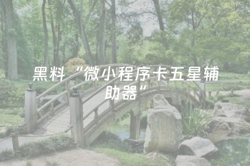 黑料“微小程序卡五星辅助器”（专用神器下载)