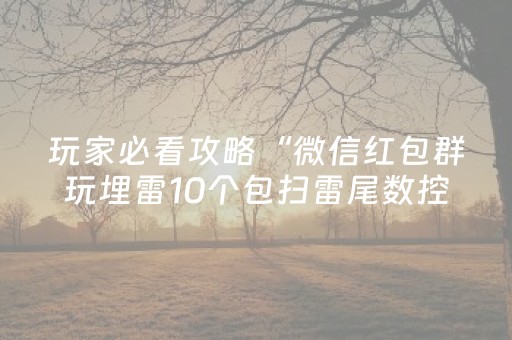 玩家必看攻略“微信红包群玩埋雷10个包扫雷尾数控制神器”（详细透视教程）-哔哩哔哩