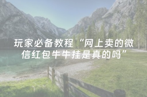 玩家必备教程“网上卖的微信红包牛牛挂是真的吗”（详细透视教程）-哔哩哔哩