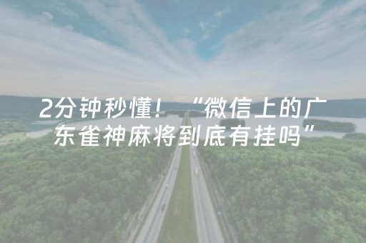 2分钟秒懂！“微信上的广东雀神麻将到底有挂吗”（详细透视教程）-哔哩哔哩