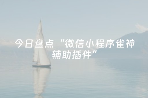 今日盘点“微信小程序雀神辅助插件”（详细透视教程）-哔哩哔哩