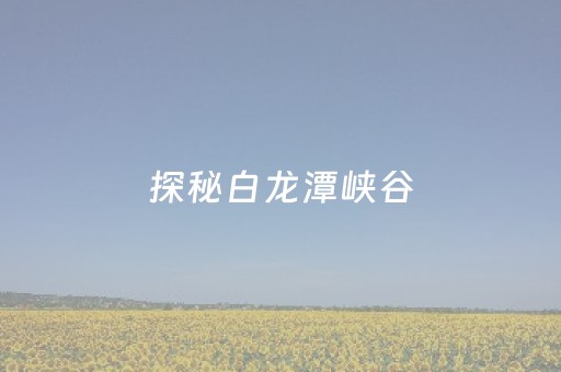 给玩家盘点十款“雀神麻将插件开挂”（有没有猫腻)