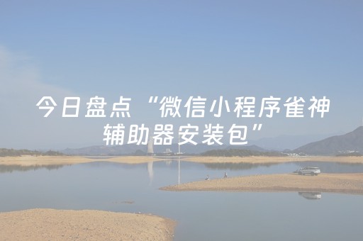 今日盘点“微信小程序雀神辅助器安装包”（详细辅助教程）-哔哩哔哩
