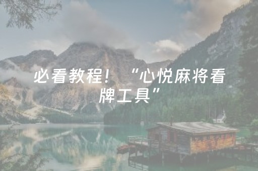 必看教程！“心悦麻将看牌工具”（详细辅助教程）-哔哩哔哩
