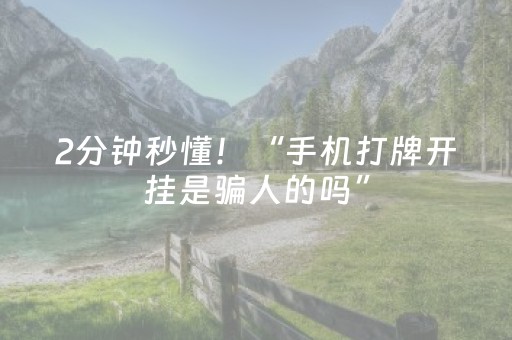 2分钟秒懂！“手机打牌开挂是骗人的吗”（详细辅助教程）-哔哩哔哩